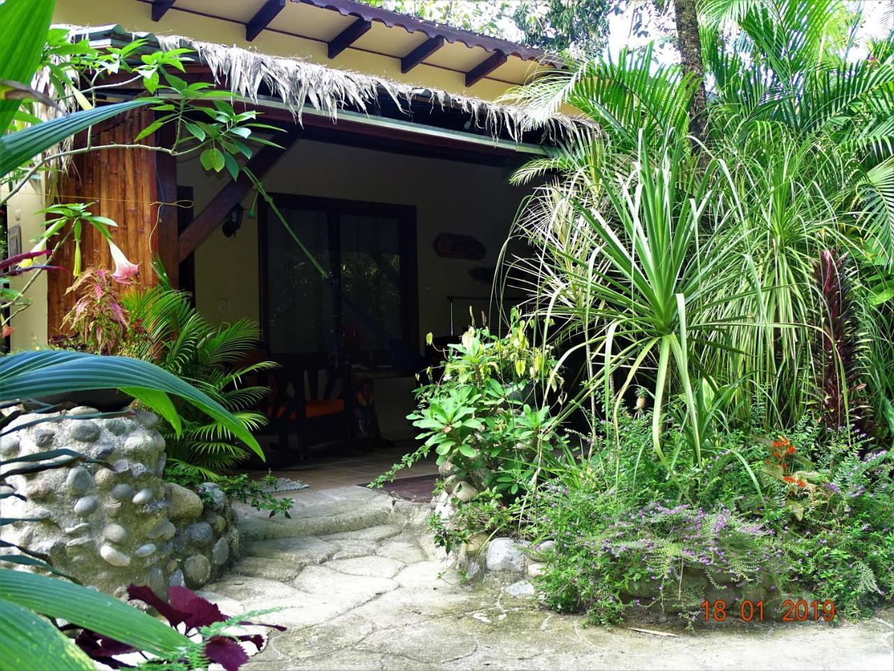 קאוויטה Hotel Caribbean Coconut מראה חיצוני תמונה